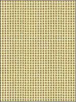 Roberto Velvet Beige Upholstery Fabric GWF3228116 by Groundworks Fabrics for sale at Wallpapers To Go