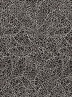 Breakwater Black Upholstery Fabric GWF34198 by Groundworks Fabrics for sale at Wallpapers To Go