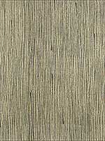 Vertex Pyrite Multipurpose Fabric GWF342711 by Groundworks Fabrics for sale at Wallpapers To Go