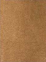 Trophy Copper Upholstery Fabric GWL340624 by Groundworks Fabrics for sale at Wallpapers To Go