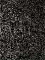 Femme Fatale Black Upholstery Fabric GWL34088 by Groundworks Fabrics for sale at Wallpapers To Go