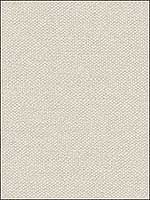 Safari Linen Fog Upholstery Fabric 20121591116 by Lee Jofa Fabrics for sale at Wallpapers To Go