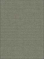 Hampton Linen Flint Multipurpose Fabric 20121712121 by Lee Jofa Fabrics for sale at Wallpapers To Go