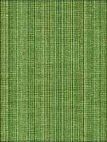 Francis Strie Grass Upholstery Fabric 201512123 by Lee Jofa Fabrics for sale at Wallpapers To Go