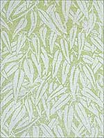 Willow Lime Multipurpose Fabric BFC351323 by Lee Jofa Fabrics for sale at Wallpapers To Go