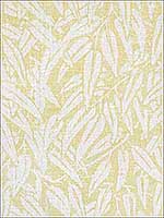 Willow Yellow Multipurpose Fabric BFC351340 by Lee Jofa Fabrics for sale at Wallpapers To Go