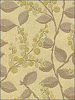 Vine Drive Lemongrass Upholstery Fabric 31527416 by Kravet Fabrics for sale at Wallpapers To Go
