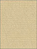 Beaming Tusk Upholstery Fabric 315461 by Kravet Fabrics for sale at Wallpapers To Go