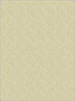 Jentry Shell Upholstery Fabric 320091116 by Kravet Fabrics for sale at Wallpapers To Go