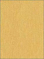 Kravet 33136 4 Multipurpose Fabric 331364 by Kravet Fabrics for sale at Wallpapers To Go