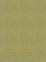 Kravet 33877 3 Upholstery Fabric 338773 by Kravet Fabrics for sale at Wallpapers To Go