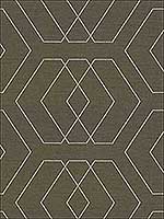 Temple Robe Pewter Upholstery Fabric 3393921 by Kravet Fabrics for sale at Wallpapers To Go