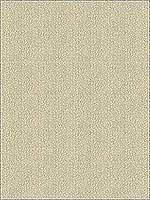 Keenan Shell Upholstery Fabric 3412416 by Kravet Fabrics for sale at Wallpapers To Go
