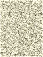 Jatoba Mineral Upholstery Fabric 3417711 by Kravet Fabrics for sale at Wallpapers To Go