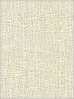 Denali Shell Drapery Fabric 419216 by Kravet Fabrics for sale at Wallpapers To Go