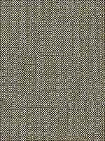 Bacio Coal Upholstery Fabric 3247021 by Kravet Fabrics for sale at Wallpapers To Go