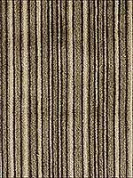 Martino Biscotti Upholstery Fabric 336471611 by Kravet Fabrics for sale at Wallpapers To Go