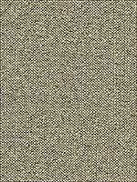 Emilia Cobblestone Upholstery Fabric 33650811 by Kravet Fabrics for sale at Wallpapers To Go