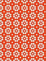 Kahlo Mandarin Upholstery Fabric 3378012 by Kravet Fabrics for sale at Wallpapers To Go