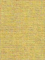 Rafael Chamois Upholstery Fabric 33788416 by Kravet Fabrics for sale at Wallpapers To Go