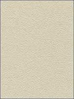 Suede Texture Stone Upholstery Fabric 34121611 by Kravet Fabrics for sale at Wallpapers To Go