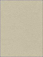 Suede Texture Gris Upholstery Fabric 34121111 by Kravet Fabrics for sale at Wallpapers To Go