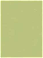 Luster Satin Honeydew Drapery Fabric 4202130 by Kravet Fabrics for sale at Wallpapers To Go