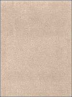 Doux Suede Blush Upholstery Fabric DOUXSUEDE1 by Kravet Fabrics for sale at Wallpapers To Go