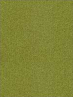 Kravet 31641 3 Multipurpose Fabric 316413 by Kravet Fabrics for sale at Wallpapers To Go