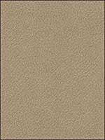 Lbexar Stone Upholstery Fabric LBEXARSTONE by Kravet Fabrics for sale at Wallpapers To Go