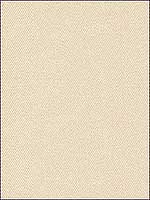 Kravet 20467 1116 Multipurpose Fabric 204671116 by Kravet Fabrics for sale at Wallpapers To Go