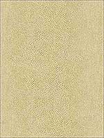 Chic Shagreen White Gold Upholstery Fabric 327274 by Kravet Fabrics for sale at Wallpapers To Go