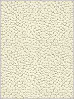 Polka Dot Plush Natural Upholstery Fabric 329721116 by Kravet Fabrics for sale at Wallpapers To Go