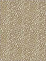 Polka Dot Plush Mushroom Upholstery Fabric 32972116 by Kravet Fabrics for sale at Wallpapers To Go