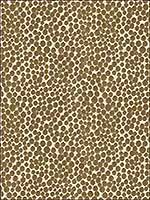 Polka Dot Plush Falcon Upholstery Fabric 3297266 by Kravet Fabrics for sale at Wallpapers To Go