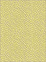 Polka Dot Plush Wasabi Upholstery Fabric 32972323 by Kravet Fabrics for sale at Wallpapers To Go
