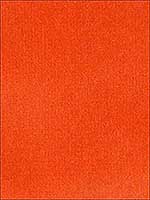 Velvet Treat Orange Upholstery Fabric 3306212 by Kravet Fabrics for sale at Wallpapers To Go