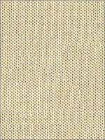 Do The Hustle Platinum Upholstery Fabric 33443411 by Kravet Fabrics for sale at Wallpapers To Go