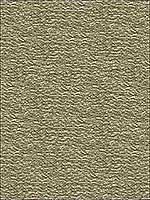Two S Company Nickel Upholstery Fabric 3345521 by Kravet Fabrics for sale at Wallpapers To Go