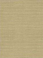 Big Picture Pebble Upholstery Fabric 339901611 by Kravet Fabrics for sale at Wallpapers To Go