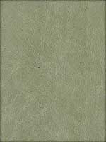 Lcuero Eucalyptus Upholstery Fabric LCUEROEUCALYPTUS by Kravet Fabrics for sale at Wallpapers To Go
