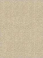 Terry Chenille 1116 Upholstery Fabric 257631116 by Kravet Fabrics for sale at Wallpapers To Go