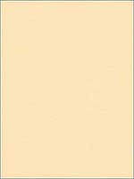 Classic Canvas Creme Multipurpose Fabric 29741111 by Kravet Fabrics for sale at Wallpapers To Go