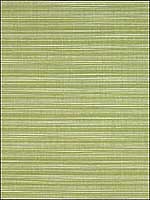 Coasal Bamboo Upholstery Fabric 275053 by Kravet Fabrics for sale at Wallpapers To Go