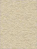 Loofah 16 Upholstery Fabric 2805116 by Kravet Fabrics for sale at Wallpapers To Go