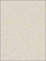 Galster Bone Upholstery Fabric 32818111 by Kravet Fabrics for sale at Wallpapers To Go
