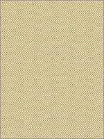 Kravet 34234 116 Upholstery Fabric 34234116 by Kravet Fabrics for sale at Wallpapers To Go