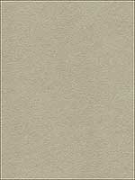 Ultrasuede Green 1102 Upholstery Fabric 307871102 by Kravet Fabrics for sale at Wallpapers To Go
