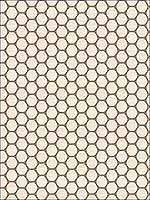 Encircle Coconut Upholstery Fabric 33500106 by Kravet Fabrics for sale at Wallpapers To Go