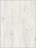Wood Woodgrain Wallpaper LL29501 by Norwall Wallpaper for sale at Wallpapers To Go